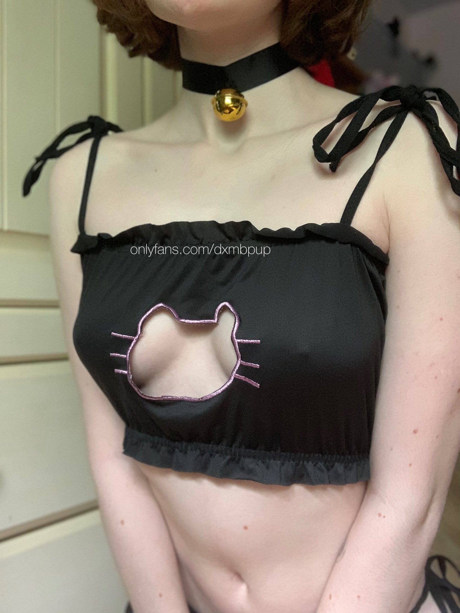 ๑ 𝐩𝐮𝐩ㅣtheyhe ๑ on X: meow? t.coTAkBBzFutT  X