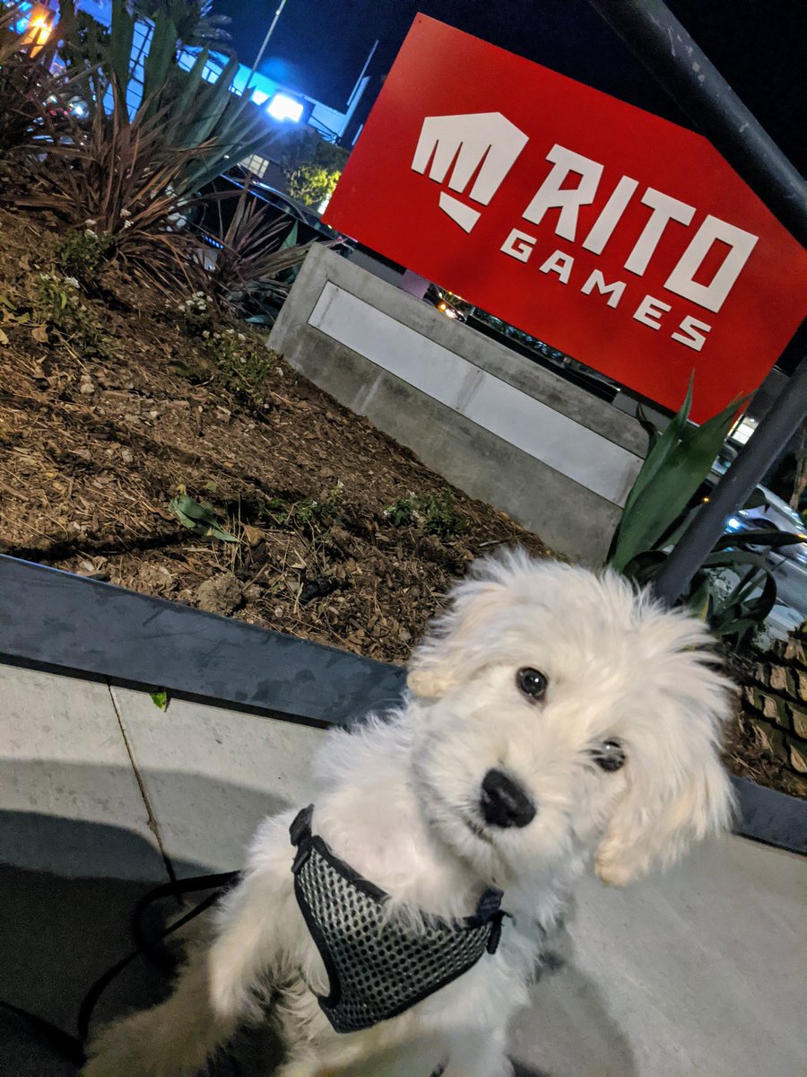 no company will ever be perfect. but for me, riot games is pretty darned-tootin close.and, like good whisky, it only keeps getting better with time *eyebrow waggleanyhoo~~ happy 5 yr riotversary to meeee! (5/5)