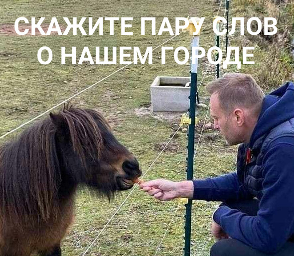 ronwoncow's tweet photo. @RussianMemesLtd https://t.co/6z3CCRcsEL
