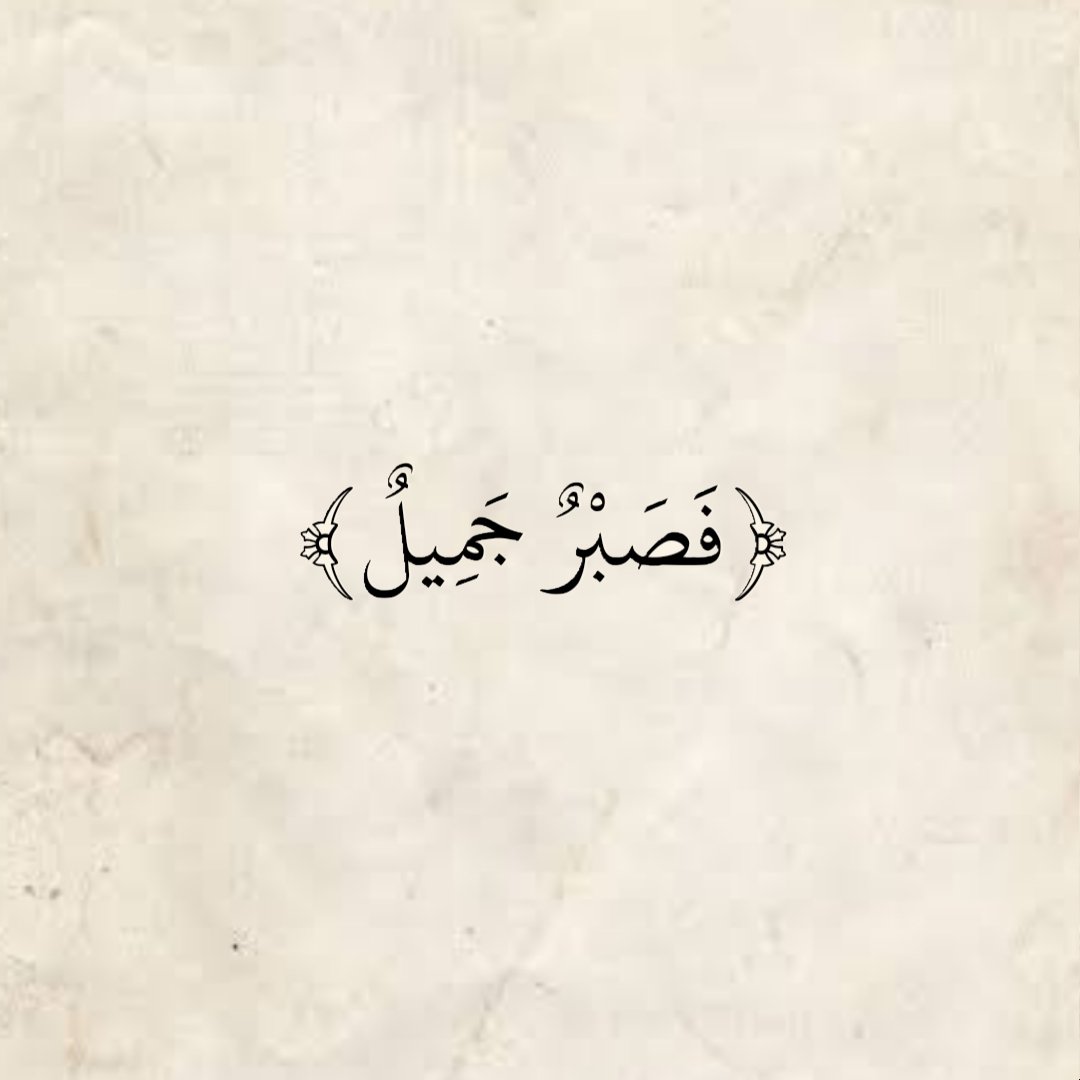 Mostafa68231697's tweet photo. 💙💙 https://t.co/d9z7CrtkBf