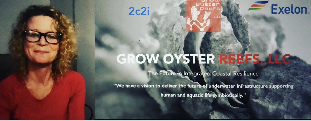 Very excited & honored to be pitching today at Exelon Foundation & 2c2i Pitch Day! #oysterreef #exelonfoundation #shorelineprotection #baltimoresustainability #seagrasses #mussels #carboncapture #womanownedbusiness #unecosystemdecade #riseinnovation #mitsolve
