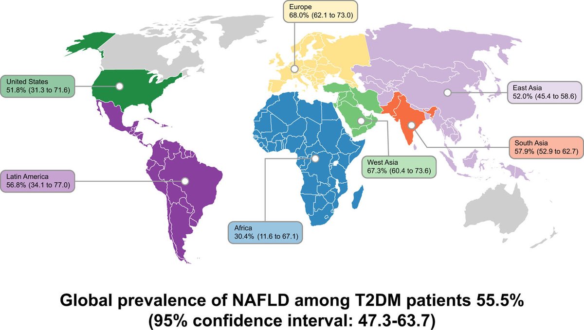 JHepatology's tweet photo. On #WorldDiabetesDay, #EASL &amp; @JHepatology would like to share this top research article which provides evidence of the high prevalence of #NAFLD and #NASH in patients with T2DM. Read here: https://t.co/0FxGa39Gin https://t.co/Ms5wOhNmS1