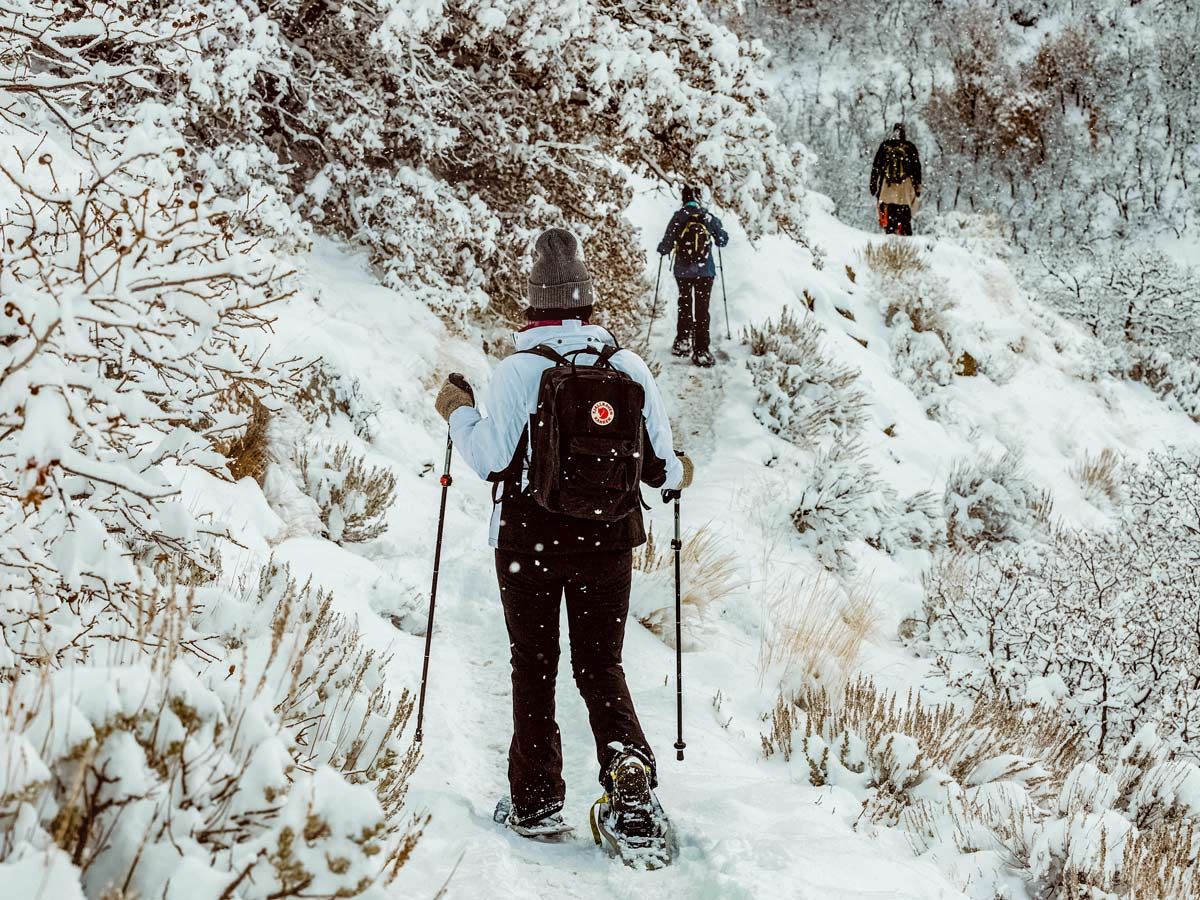 10Adventures's tweet photo. Preparing for a day trip in the snowy mountains? Find out advice on what to pack and have on hand for a winter backcountry trip: https://t.co/FD0hPCifOI https://t.co/YMJyxr35UP