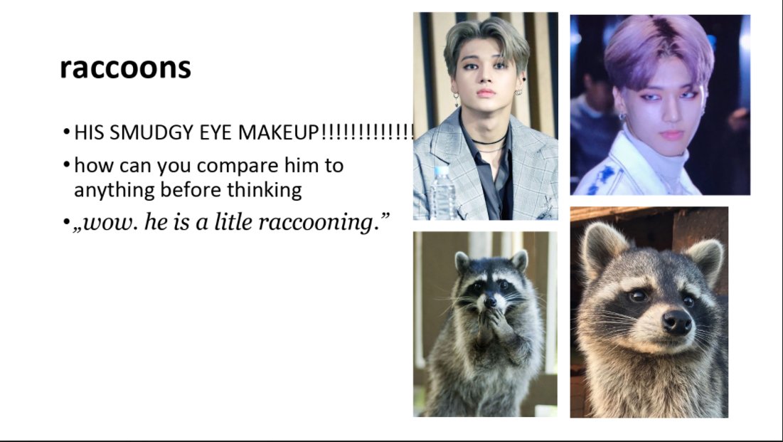 1. raccoons 