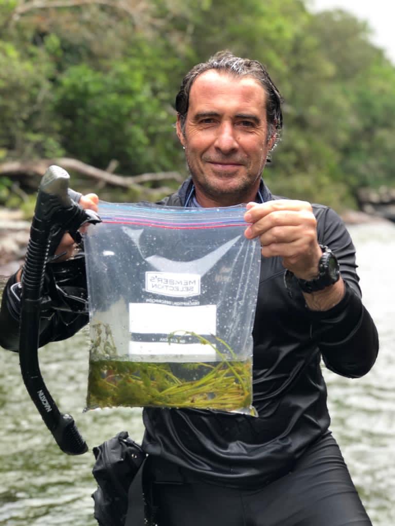 classoalcala's tweet photo. Biodiversidad acuática de Caño Cristales y sierra de La Macarena, Meta 2020, vista a través del buceo, documentación y filmación científica. Gracias International French Connections @CORMACARENA @inst_humboldt @ParquesColombia. Fotos: Federico Pardo https://t.co/oRivgDfO1h