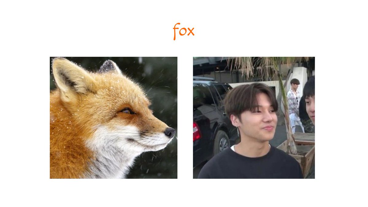 4. fox 