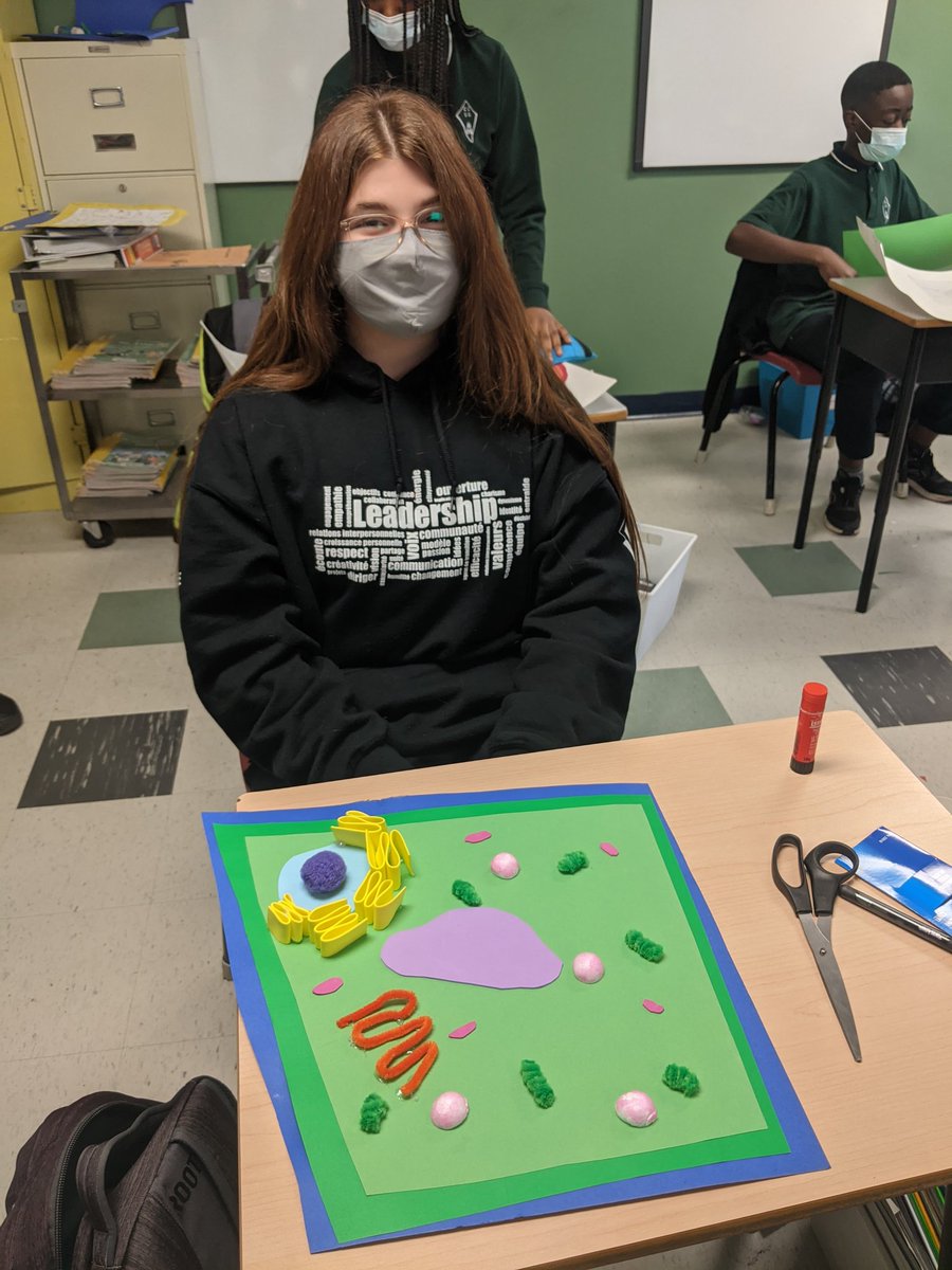 CcSamuelGenest's tweet photo. Dans les classes de sciences de 8e année, les cellules sont étudiées. #SAMFierte https://t.co/GB3XsEomWy