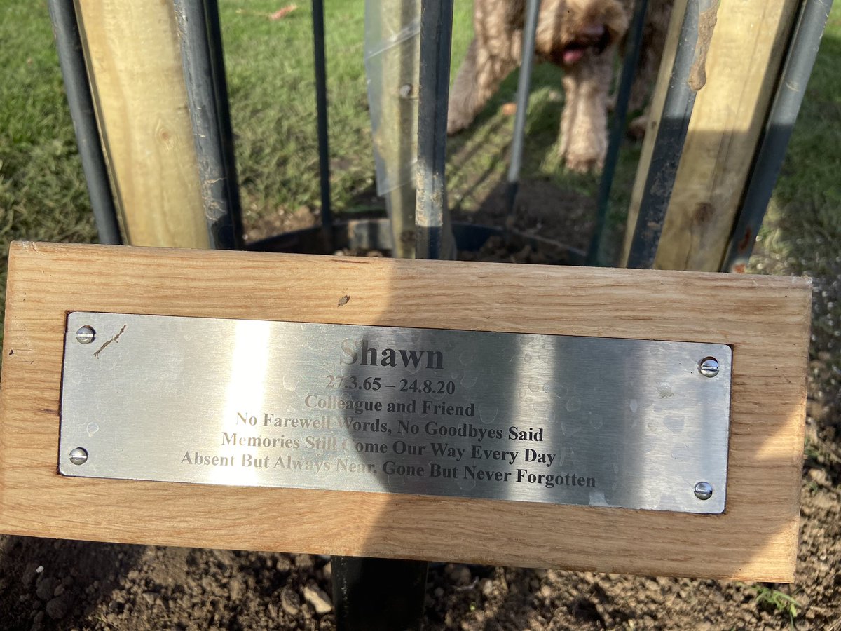 Lovely tribute to Metal’s friend and #chalkwellpark colleague Shawn Knowles RIP who for many years looked after the park so brilliantly and loved trees. We will miss him. Knowing this tree will be there for many years to come watching over events and activities is a nice thought.