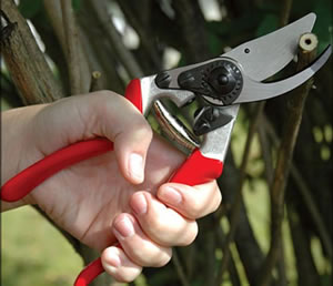 LeftHandersClub tweet media