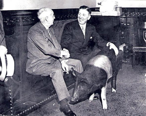 In order to reduce tensions and add a little levity, Minnesota Gov Floyd Olson (no relation to the pig) suggested a friendly bet between him and IA Gov Herring. Herring's wager was the Iowa state champion hog, Floyd of Rosedale. Minnesota won the game and Floyd.