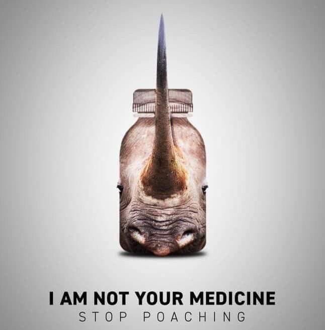 Ride for Rhinos tweet media