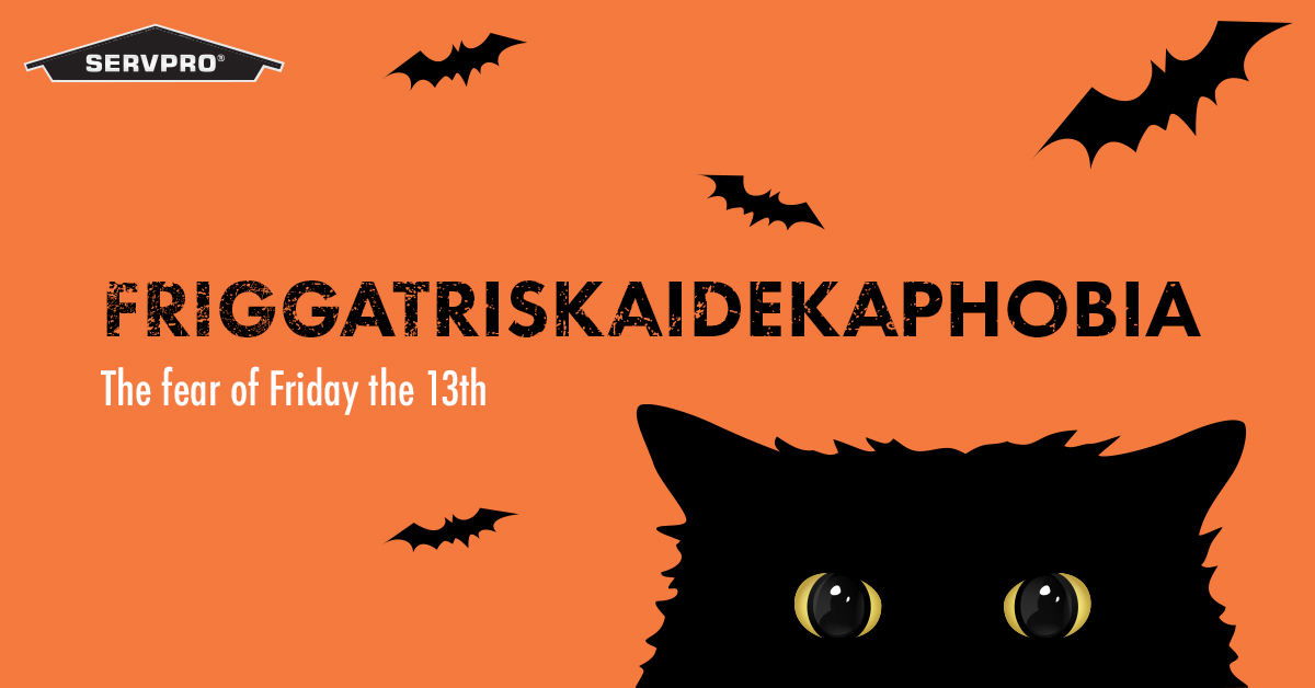 Who knew? The frigga is for Friday, the triskai is for 3, the deka means 10, so triskaideca means 13, and phobia is the fear.