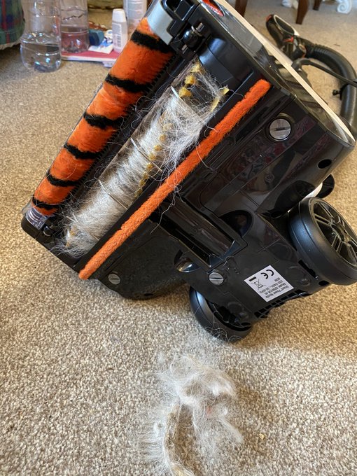 #SharkAntiHairWrap #Vacuum should have been called shite not shark! #tradesdescriptions https://t.co<a href="/tag/sharkantihairwrap"class="tags">#SharkAntiHairWrap</a><a href="/tag/vacuum"class="tags">#Vacuum</a><a href="/tag/tradesdescriptions"class="tags"><span>#tradesdescriptions</span></a>