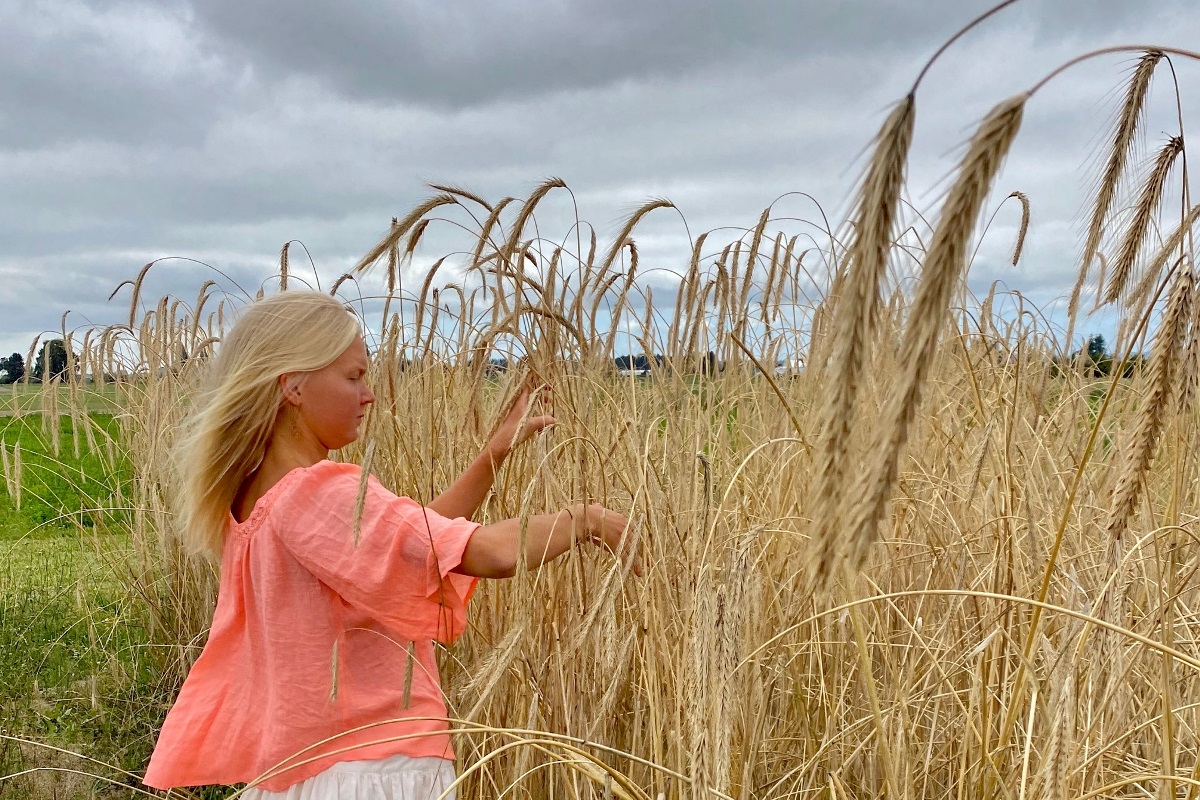 RealBread's tweet photo. The rye-searcher: Social anthropologist and @wsucahnrs #TheBreadLab PhD student researcher Laura Valli shares her love of #rye >> https://t.co/QF5hFQtfae Published as part of the @RosehipandRye @karawaybakery & #RealBread Campaign #RyeLove season. #ryebread https://t.co/bvNGq4spgw
