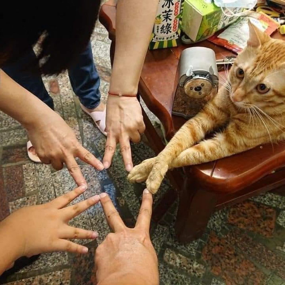 🐈‍⬛ Viernes 13 🐈‍⬛
LomitosSuavecitos.com