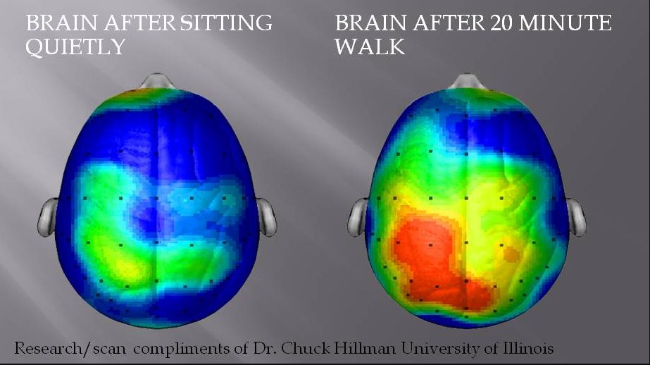 MarinaTT4's tweet photo. Existeix una recerca que recolza la teoria que l'exercici físic promou el desenvolupament del cervell, particularment en els nens. #22121uib https://t.co/UYQ4Ix7ZMy