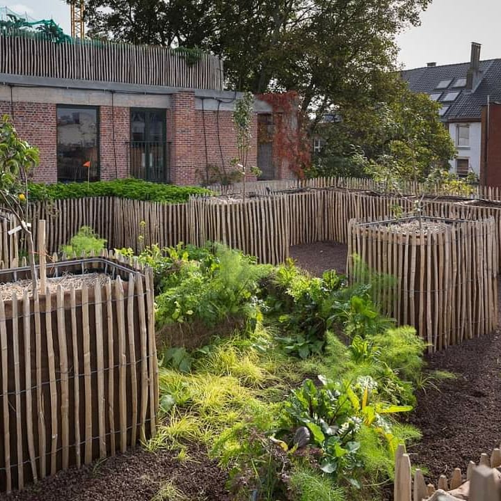 Groene_agenda's tweet photo. Zaterdag 5 december 11:00 & 13:00 uur webinar: HOE TEEL JE GROENTEN OP #STROBALEN? Door 't #PAKT van #Antwerpen & Het #DakvanhetPakt #dakboerderij. 11:00 - 13:00 uur. Hier meer informatie & aanmelden: https://t.co/WNrin1WY4j https://t.co/BdzCRnThwZ