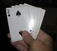 LeftHandersClub tweet media