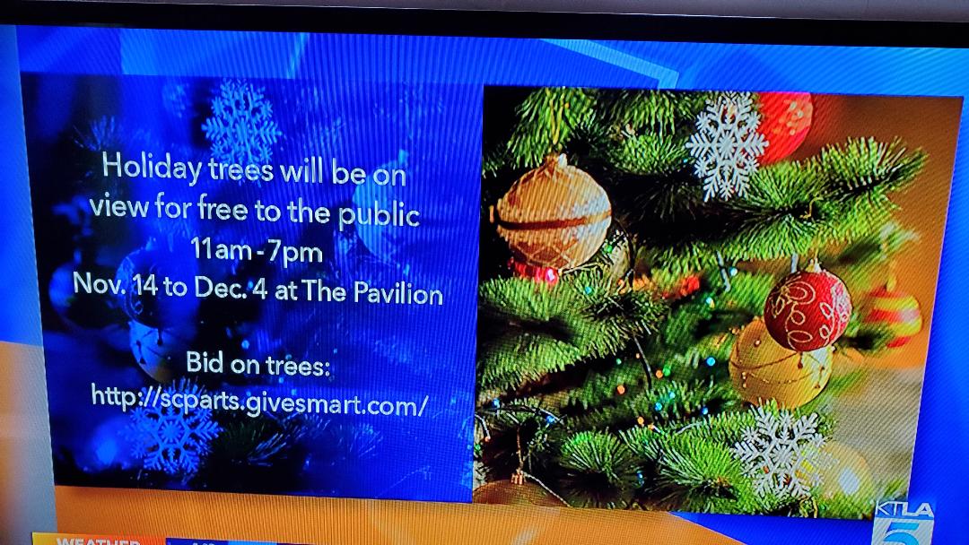 FirePodcaster's tweet photo. @KTLA @KTLAMorningNews FYI, there is no such thing as a "holiday tree." No other holiday has a tradition of decorating a fir tree with colored lights, ornaments, etc. It is a "Christmas tree," because that is the name of the holiday associated with this tradition. Words matter. https://t.co/7rfANl6x79