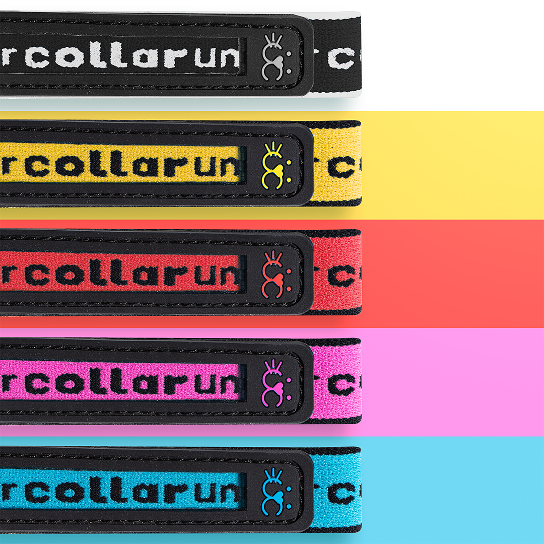 Undercollar1's tweet photo. We are not your average pet collar, we ARE your everyday collar.

We are shipping now, to order visit our website now!
.
.
.
.
#undercollar #smartcollars #waterproofcollar #petid #dogsofinstagram #dogs #cats https://t.co/L3fiBoeJs6