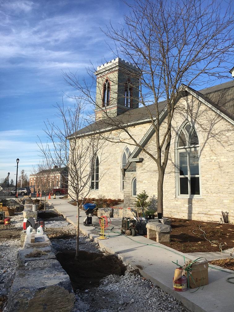 In his 2020 Update #55 today Jim Gish has two pictures showing St. Stephen's.  This one "shows six newly planted Green Hawthorn trees lining the walkway that will connect Main Street and Merchants Row through Triangle Park."  Read more at
middleburybridges.org/single-post/20…