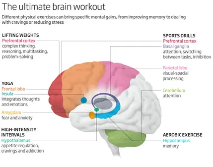 MarinaTT4's tweet photo. Existeix una recerca que recolza la teoria que l'exercici físic promou el desenvolupament del cervell, particularment en els nens. #22121uib https://t.co/UYQ4Ix7ZMy