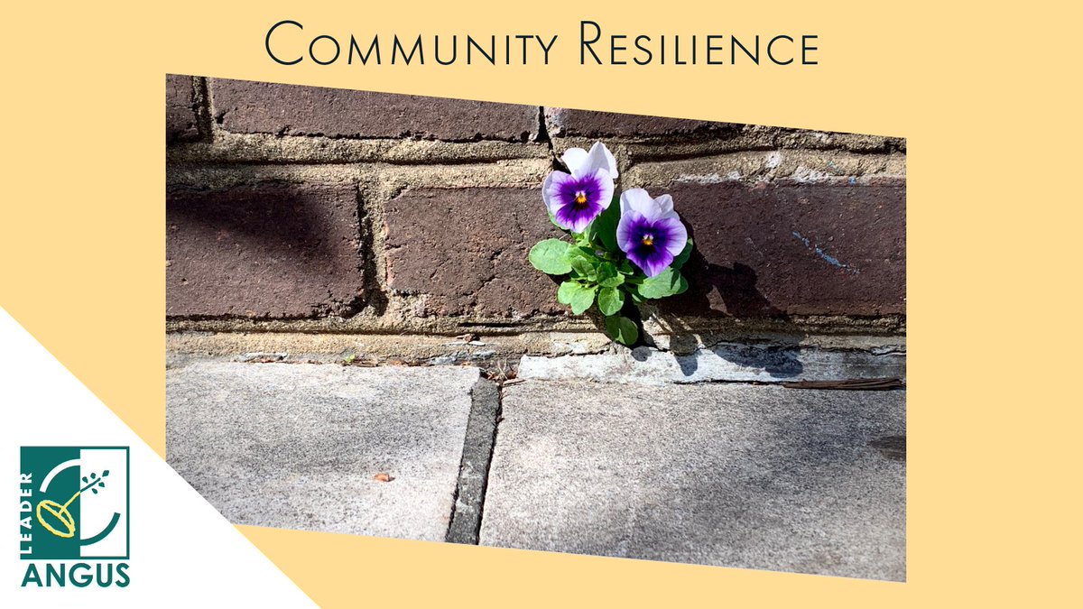 Angus LEADER tweet media