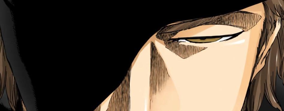 Leur multiple conversation prouve qu'Aizen est un personnage juste grandiose. Dans le récit de bleach Aizen nous inspire la perfection, au fur à mesure on comprend qu'il n'est pas parfait malgré tout.