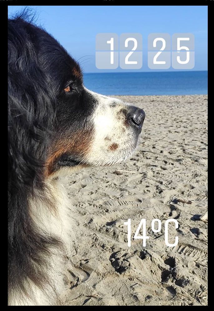 Es3Greta's tweet photo. Essere in quel l'età che non ha età
Troppo giovani per essere vecchi
Troppo vecchi per essere giovani
Con il passato alle spalle e lo sguardo fisso in avanti 
Comunque e sempre dritto verso il futuro

#FraseDelGiorno
#BuongiorniSsìSìmo! #Greta https://t.co/K2kdQ8cMuY