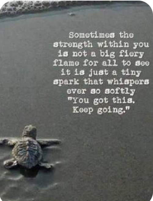 TGutierrezPYP's tweet photo. I am so grateful for my dyslexia students who try their best every day and NEVER give up! #GratefulSWES @SpicewoodPYP https://t.co/YH0Tv9j657