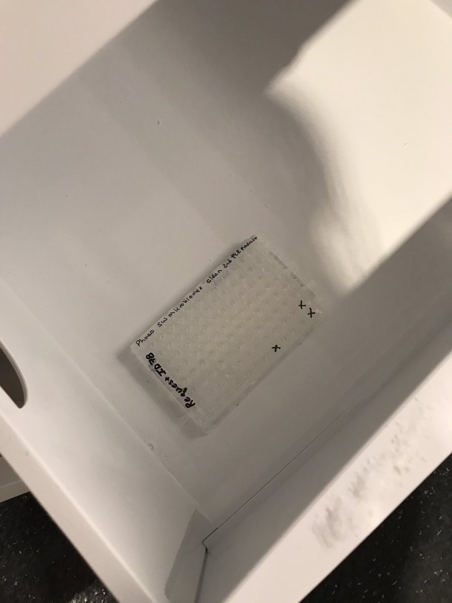 MargaretBrisbin's tweet photo. Oh man. I dropped the last plate of sequences libraries off at the sequencing center and cleaned out my desk @OISTedu today. It’s been a wild ride with many ups and downs. I’ve had many opportunities &amp; I’ve met some of the best scientists and people. It’s hard to leave! またね 👋 https://t.co/Be6naX8o39