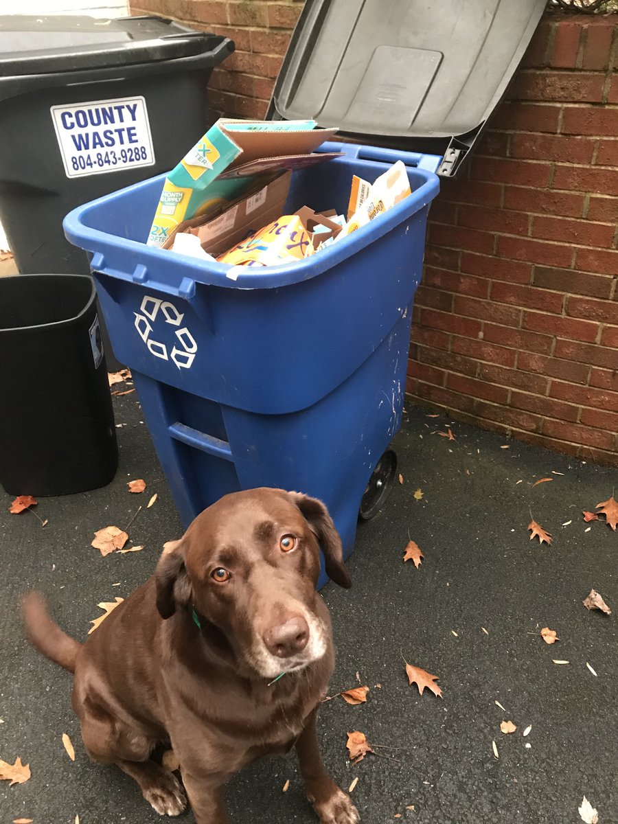 Lewis Media Partners tweet media