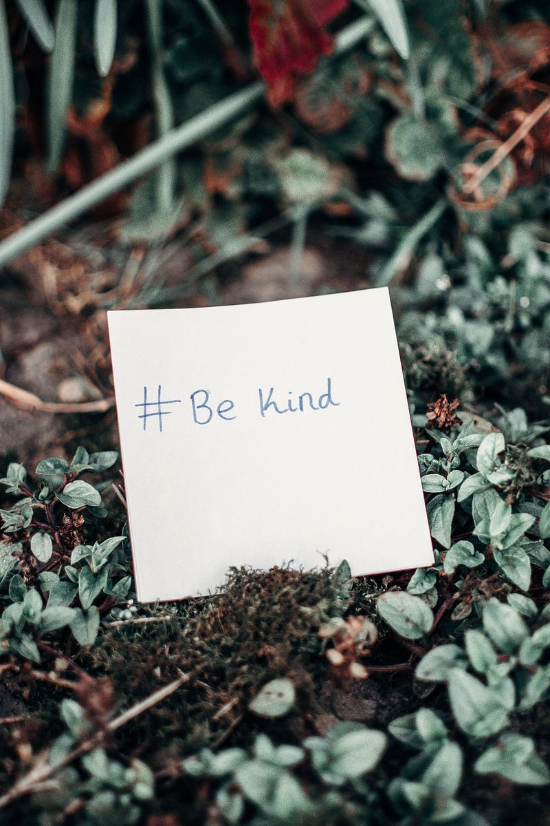 It's World Kindness Day! We could all use a little extra support these days-- how will you add a little more compassion to your community today?