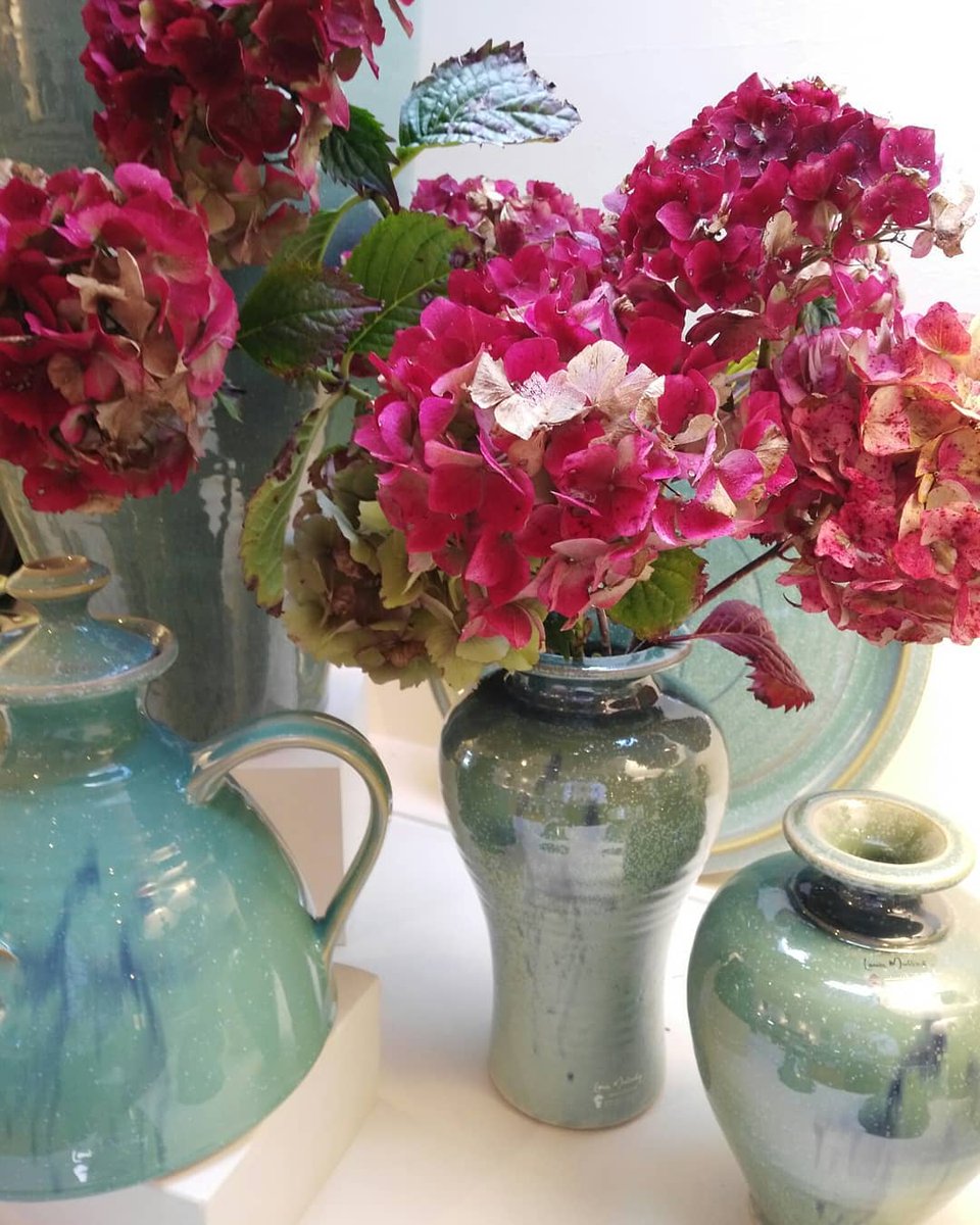 Discover Ireland tweet media