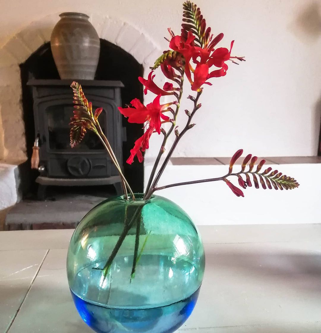 Discover Ireland tweet media