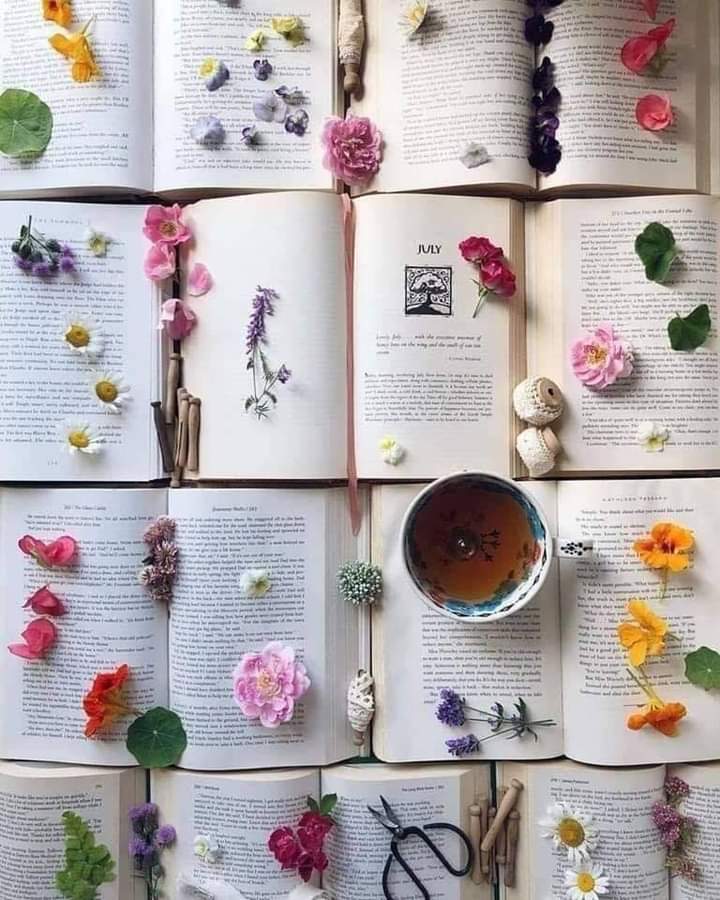 BeatrizManMar's tweet photo. "En algún lugar de un libro hay una frase esperándonos para darle un sentido a la existencia".
Las librerías y las bibliotecas son un jardín de libros para las lectoras/es. Nunca dejéis de disfrutar de la lectura.
#LeerYDisfrutar #LeerYViajar #LeerYSoñar #LeerYAprender
📖📚💐 https://t.co/S4CnOXdEZ5