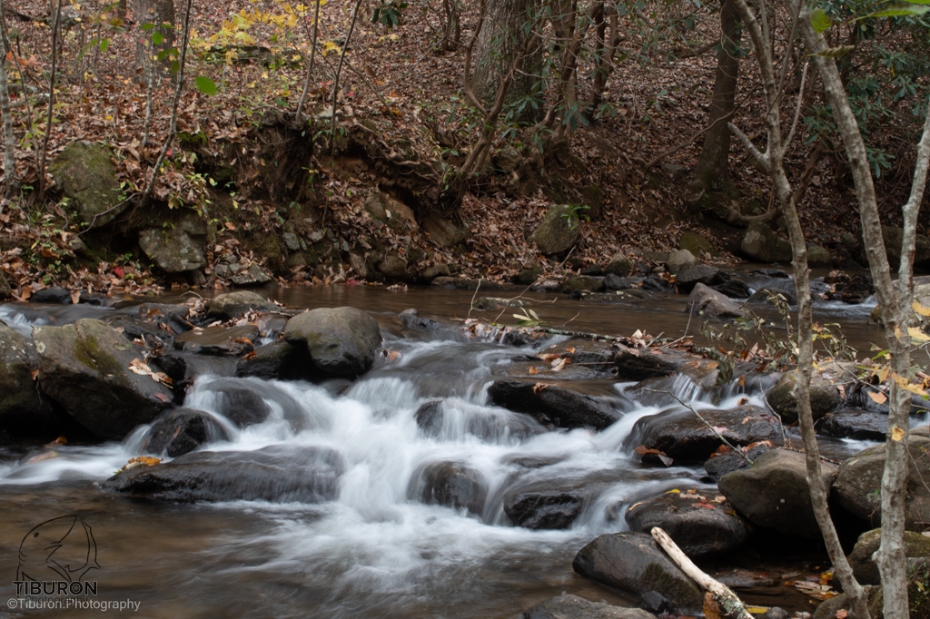 TiburonPhoto's tweet photo. Some more of #amicalolafalls mini #waterfalls in the #autumn colors (in Georgia, green is still an #autumncolor .) #fallcolors #photography #photographer #pictureoftheday https://t.co/74WQOR2xHX