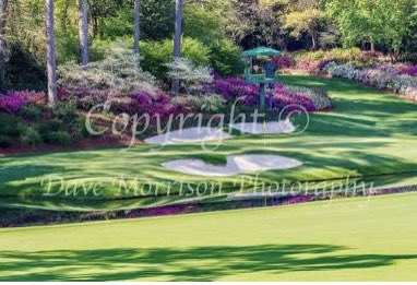 bertrams47's tweet image. The only thing that we could have really done without.  The 2020 Masters.  No AZALEAS, NO MASTERS.  It’s THE MOST BEAUTIFUL OUTDOORS SPORTING EVENT SCENERY IN THE WORLD.  The AZALEAS are as much a talk as the PLAYERS.