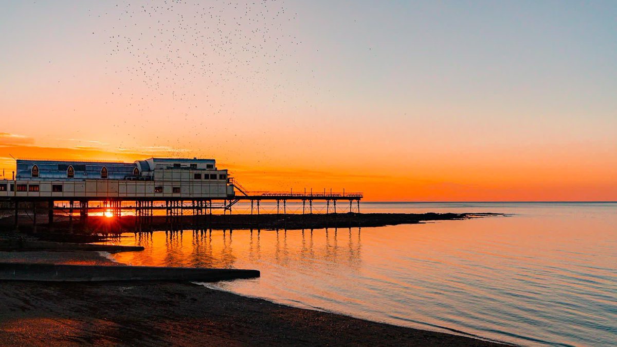 RoyalPier's tweet photo. Starlings at sunrise. 🌅

| 📷 | @Jonnyevz https://t.co/a9mFaGKKg2