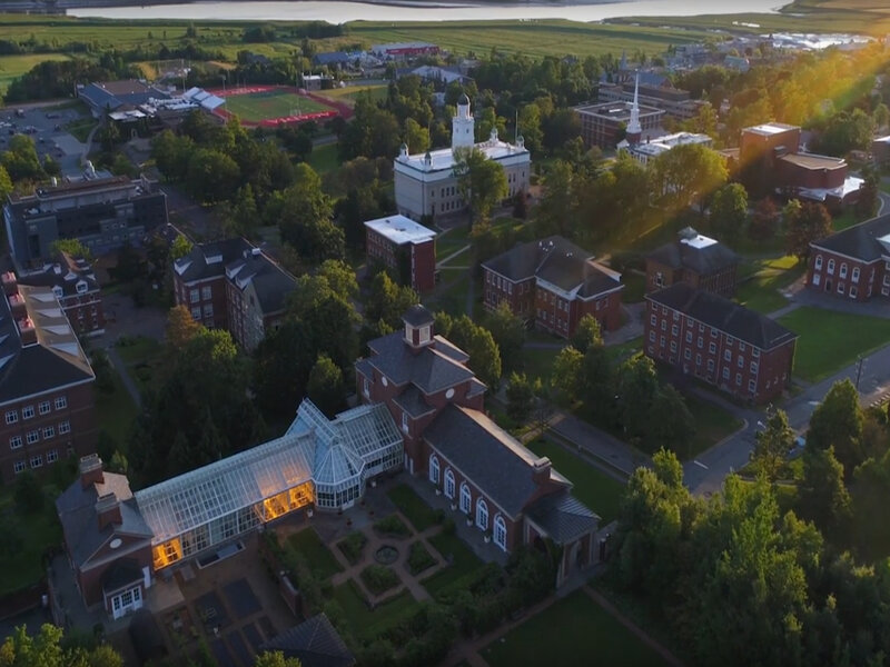 Acadia Alumni tweet media