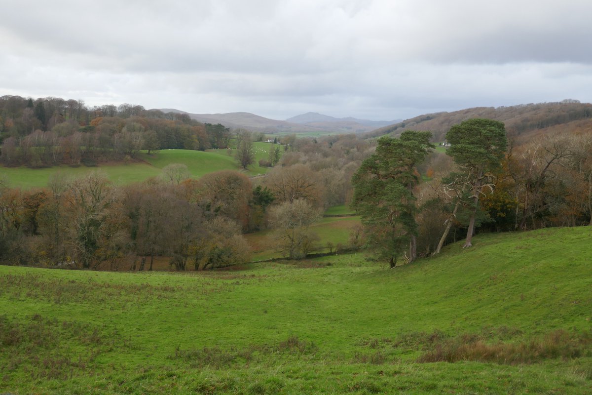 TheLengthsman's tweet photo. I often bore you with pictures of the front lawn ~ well here's the view of the back garden looking up the #CrakeValley towards #ConistonOldMan
Must chop that tree down for firewood 🪓🪚 https://t.co/16aAHc4CEb