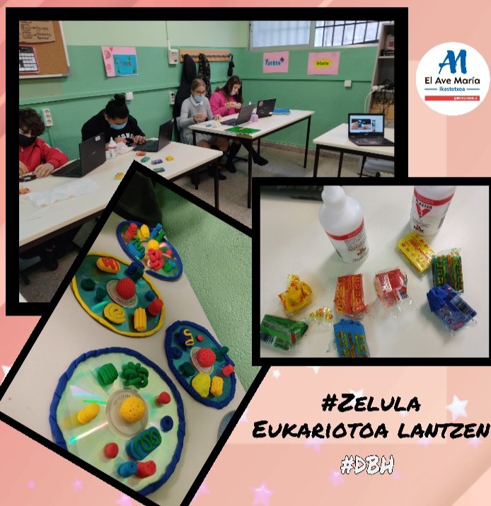 Avemariabilbao's tweet photo. #Zelula izugarri #politak sortu ditugu! CDdula #eukaritoak zehazki😂
Hemos creado unas #originales #células; CDdulas #eucariotas concretamente 🤣
#DBH #ESO #ElAvemariaIkastetxea https://t.co/1b93GlVSEI