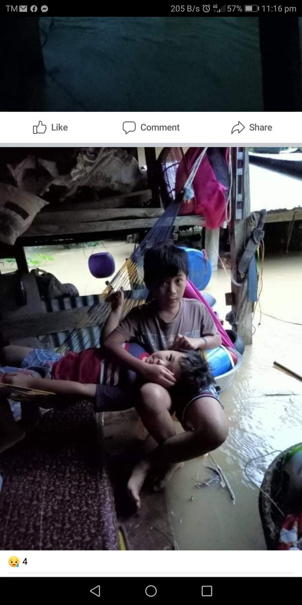 sjanerafol's tweet photo. @roigie Hi Please help to rescue them https://t.co/cxjtM4j4Jm