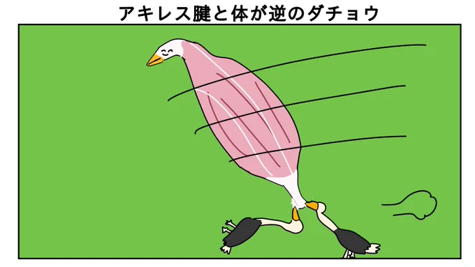 10月の動物たちも元気いっぱいでした。ありがとう 