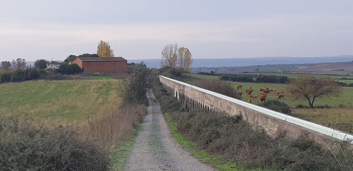 CerealAgua's tweet photo. 🌐Visita a la @ComRegMDAlagon de los equipos de Paisaje y de Digitalización de GO @CerealAgua. Nos ha acompañado en el día de hoy Juan José Sánchez Chaparro, Secretario administrativo en Comunidad de Regantes de la Margen Derecha del Rio Alagón https://t.co/HKd6XiTrRo
