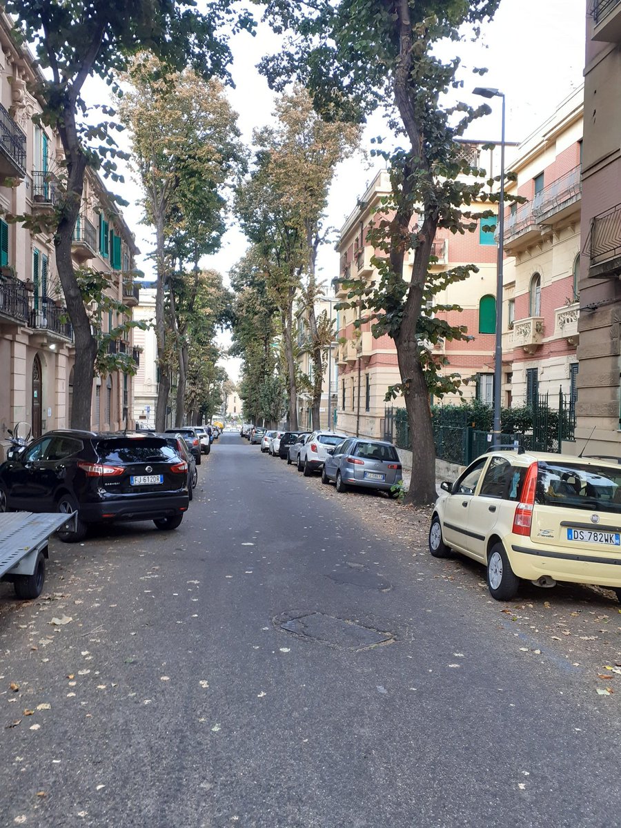 Autumn in Messina.I am more than 300 km far from Trapani.That becomes visible in sunset happening here slightly before than there.17/n