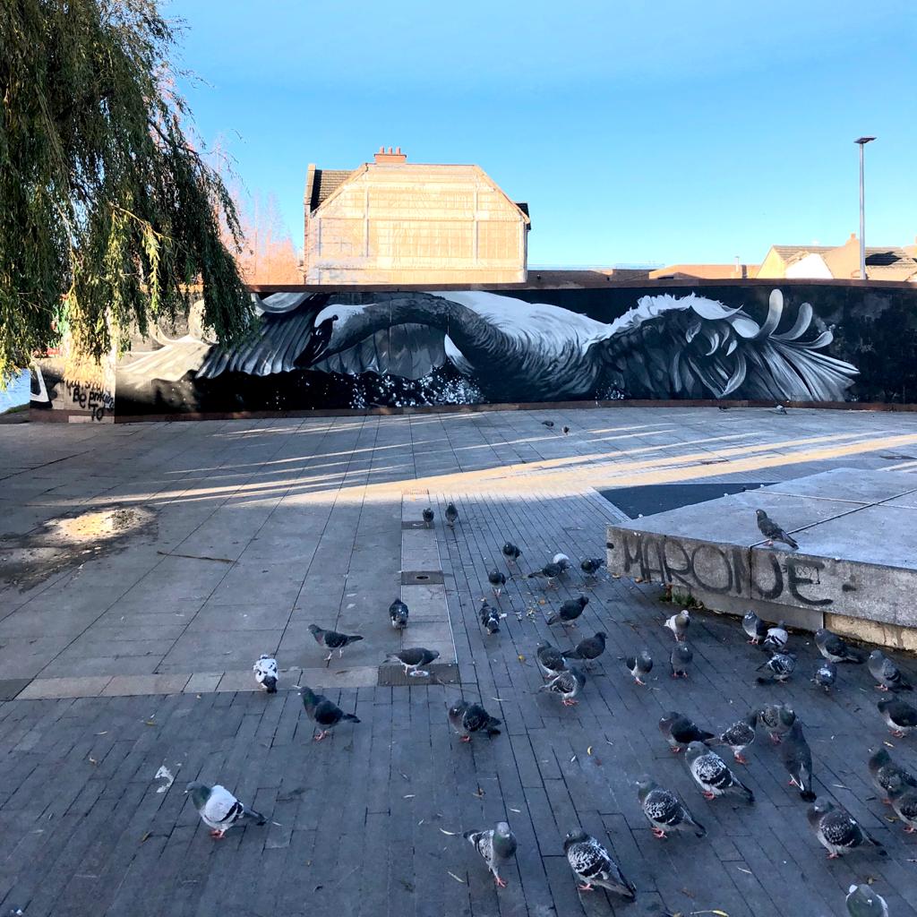 CByrneGreen's tweet image. Gorgeous new mural at #Portobello Harbour. Residents asked for some art work on the hoarding of the (unwanted) hotel development so we worked with @DubCityCouncil to deliver this beauty by @shanesuttonart. Brings the plaza to life. Thanks @ronankenny for the photos. #StreetArt