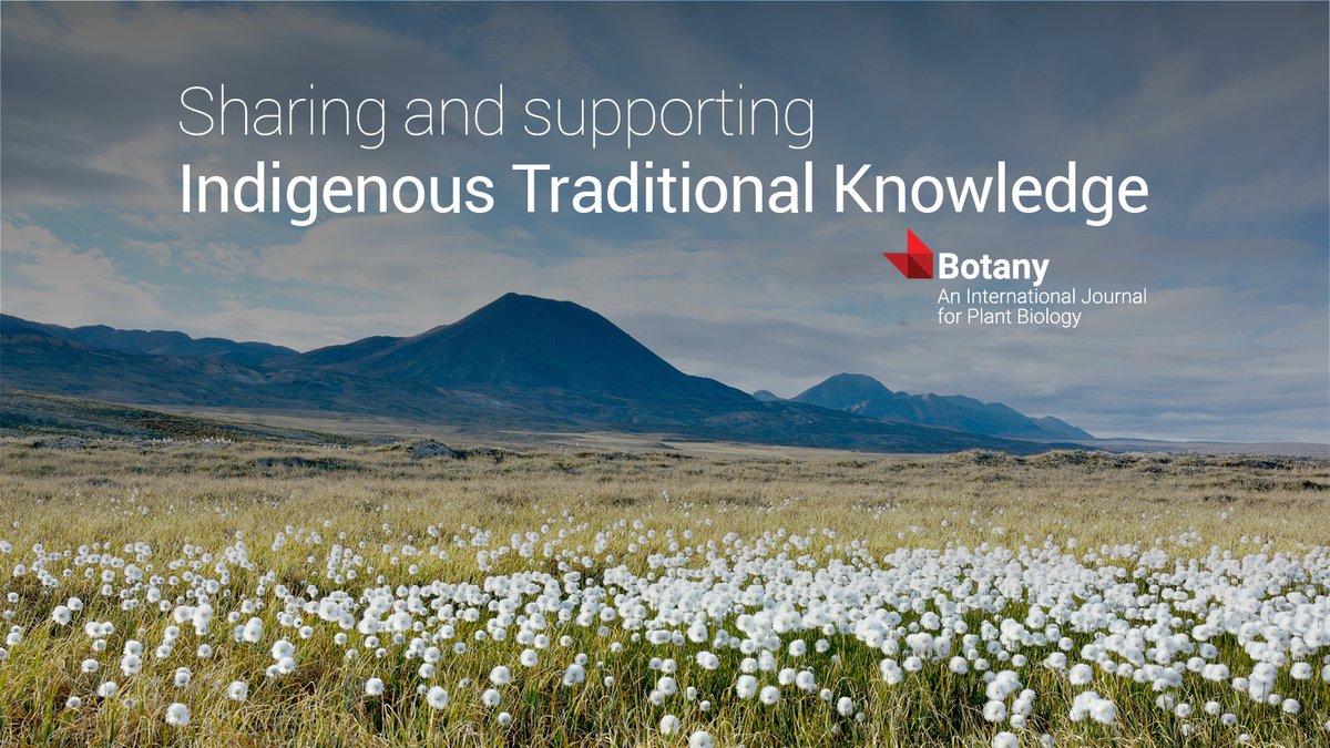 CanBotanical's tweet photo. CBA Diversity: timely change in scope for Botany includes larger place for Indigenous Traditional Knowledge. Learn more: https://t.co/HE5uRjxban
"Botany will accept manuscripts written by Indigenous Traditional Knowledge keepers.." https://t.co/AkgJK8sHCm