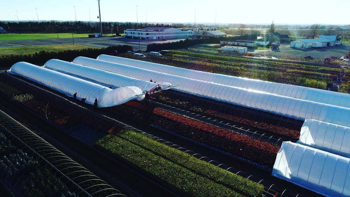 bakkernurseries's tweet photo. ...and that’s a wrap! 10km of poly in one day! Enjoy one last look. #hardyshrubs #hardytrees #hardyroses #winterhardy https://t.co/VSiZfoJFJ4
