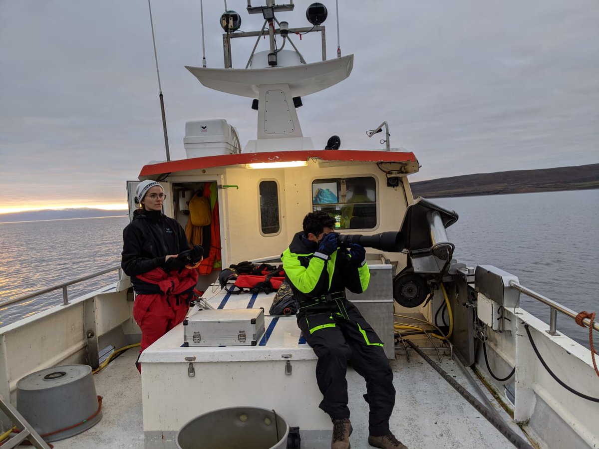 Early winter fieldwork 2020 is all done. It was surely a mixed bag. We were on the water only 11 out of 24 days thanks to the early winter storms hunting us. Still, we  ID'ed ~50 #humpbacks, got 19 biopsies, 20 drone flyovers and two #CatsCam deployments. What a team effort👊